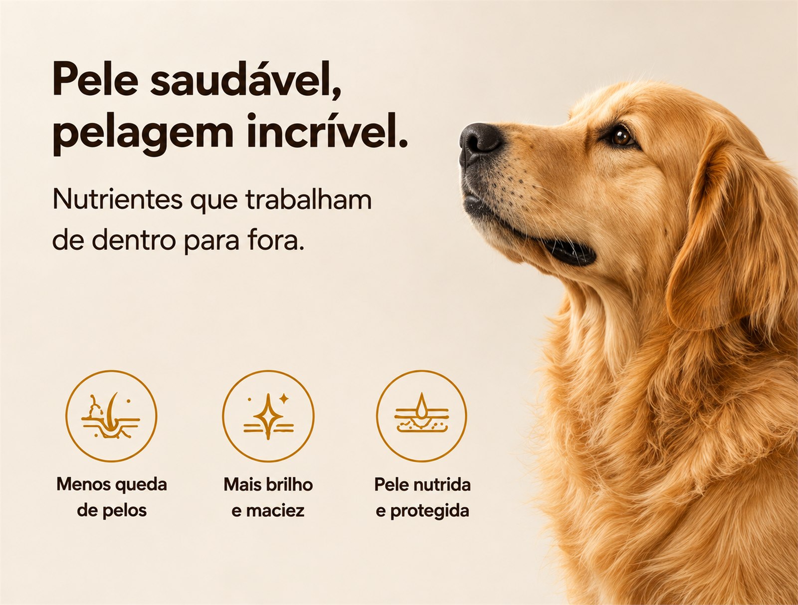 Pele saudável, pelagem incrível: nutrientes que trabalham de dentro para fora, com menos queda de pelos, mais brilho e maciez, e pele nutrida e protegida